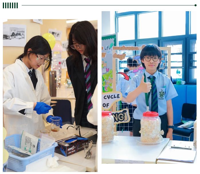 学术强化｜对新学年的期待……（一）(图2)
