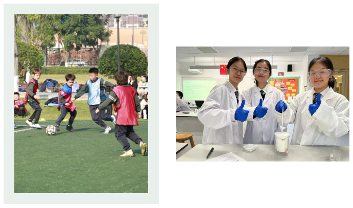 新学期 | 与全球未来相遇 遇见更好的自己(图5)