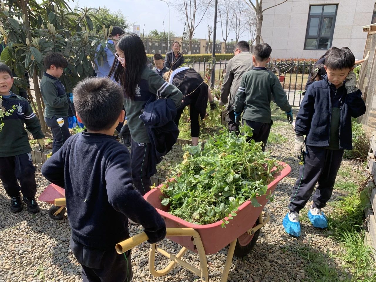 成都墨尔文开放日预告 | 教育规划怎么做？(图12)